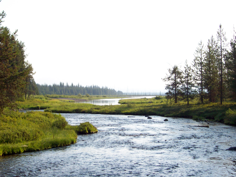 Illustration for article titled Quinn River, Oregon.